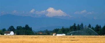 Skagit Valley farm